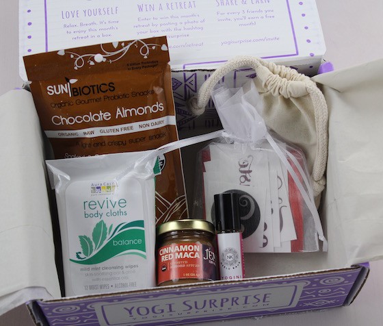 Yogi Surprise Subscription Box Review – August 2015 Items
