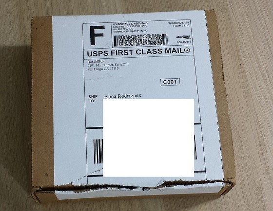 BuddhiBox Jewelry Subscription Box Review September 2015 - box