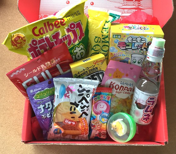 Japan Crate Subscription Box Review September 2015 - Contents