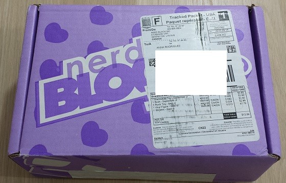 Nerd Block Junior Girls Subscription Box Review September 2015 - box