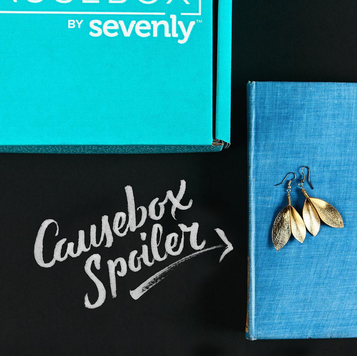 Causebox Spoiler