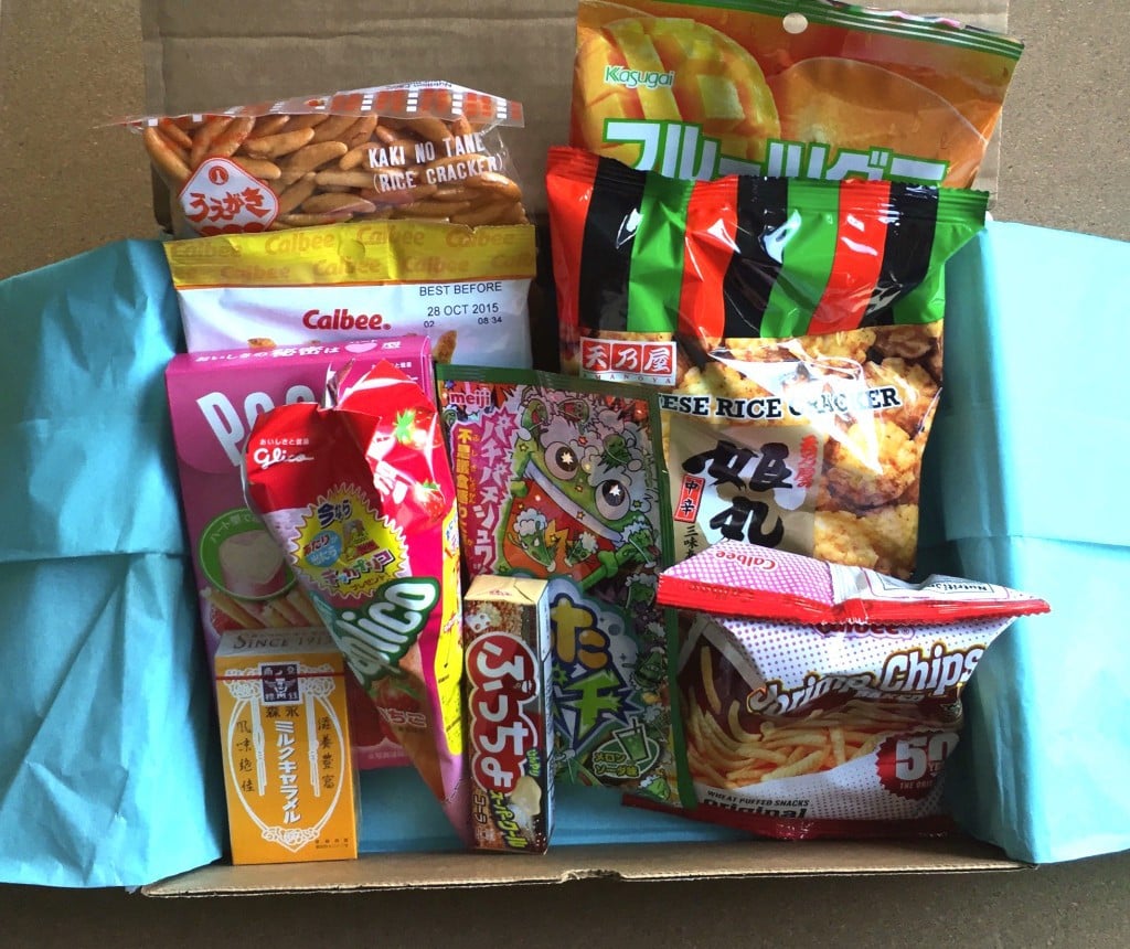 Treats Subscription Box Review August 2015 - Contents