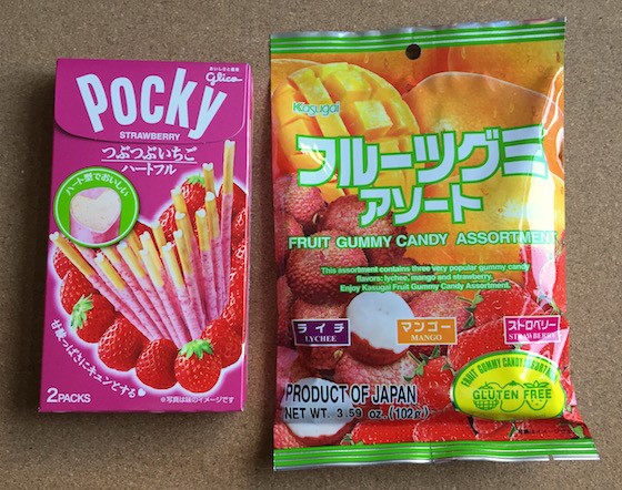 Treats Subscription Box Review August 2015 - Pocky