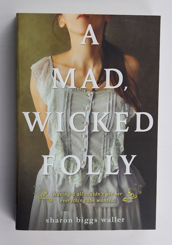 the-book-drop-ya-september-2015-mad-wicked-folly