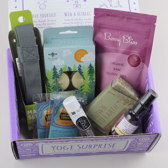 yogi-surprise-september-2015-items