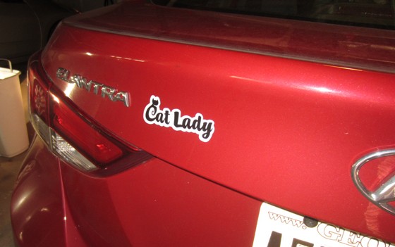 Cat Lady Box Subscription Box Review October 2015 - car