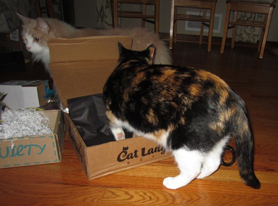 Cat Lady Box Subscription Box Review October 2015 - catsinbox