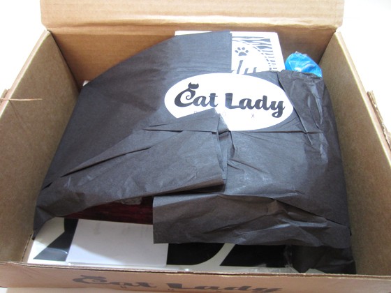 Cat Lady Box Subscription Box Review October 2015 - inside