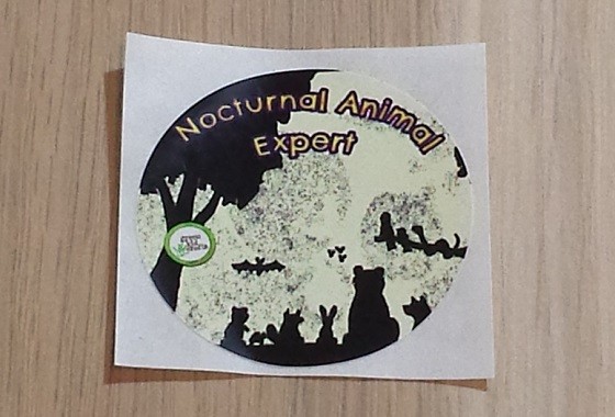 Green Kid Crafts Subscription Box Review September 2015 - sticker