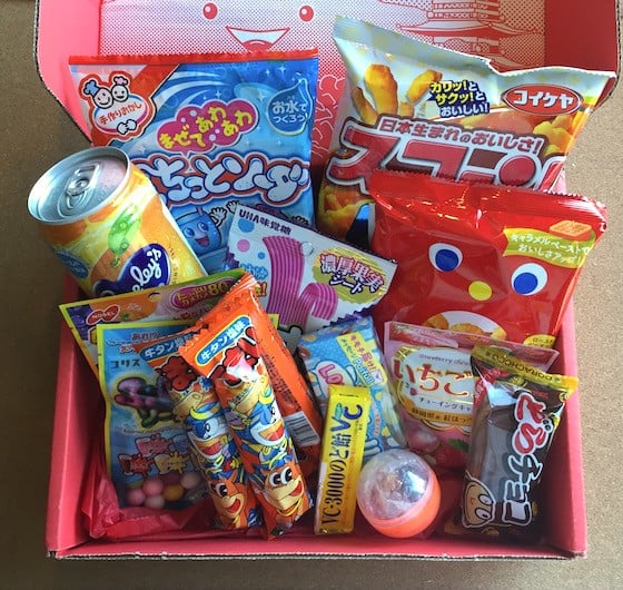 Japan Crate Subscription Box Review October 2015 - Contents