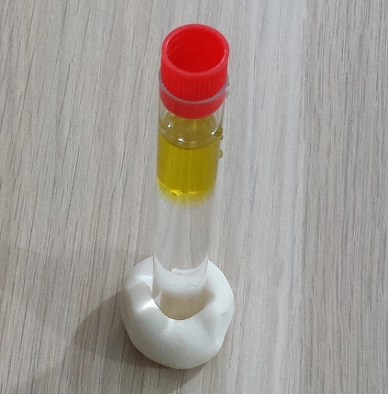 Magic School Bus Science Club Subscription Review September 2015 - test-tube