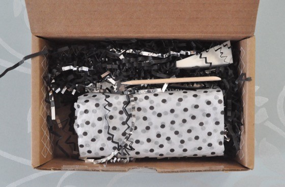 Monthly Mani Box by Scratch Subscription Box Review September 2015 - 4