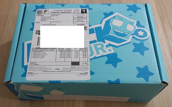 Nerd Block Junior Boys Subscription Box Review October 2015 - box