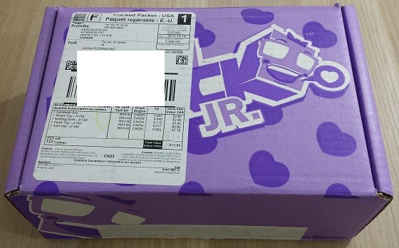 Nerd Block Junior Girls Subscription Box Review – October 2015