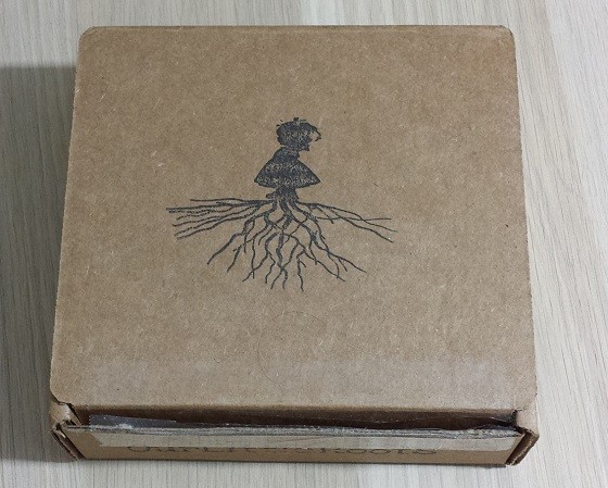Our Little Roots Subscription Box Review September 2015 - box