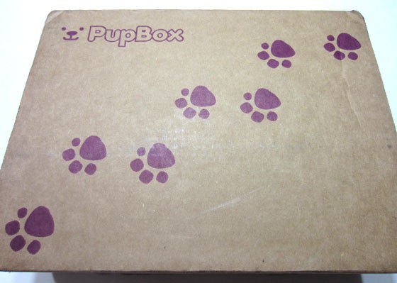 Pupbox Subscription Box Review October 2015 - box