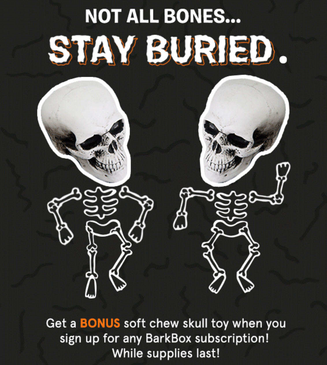 Free Skull Toy or Bonus Box with Barkbox Subscription!