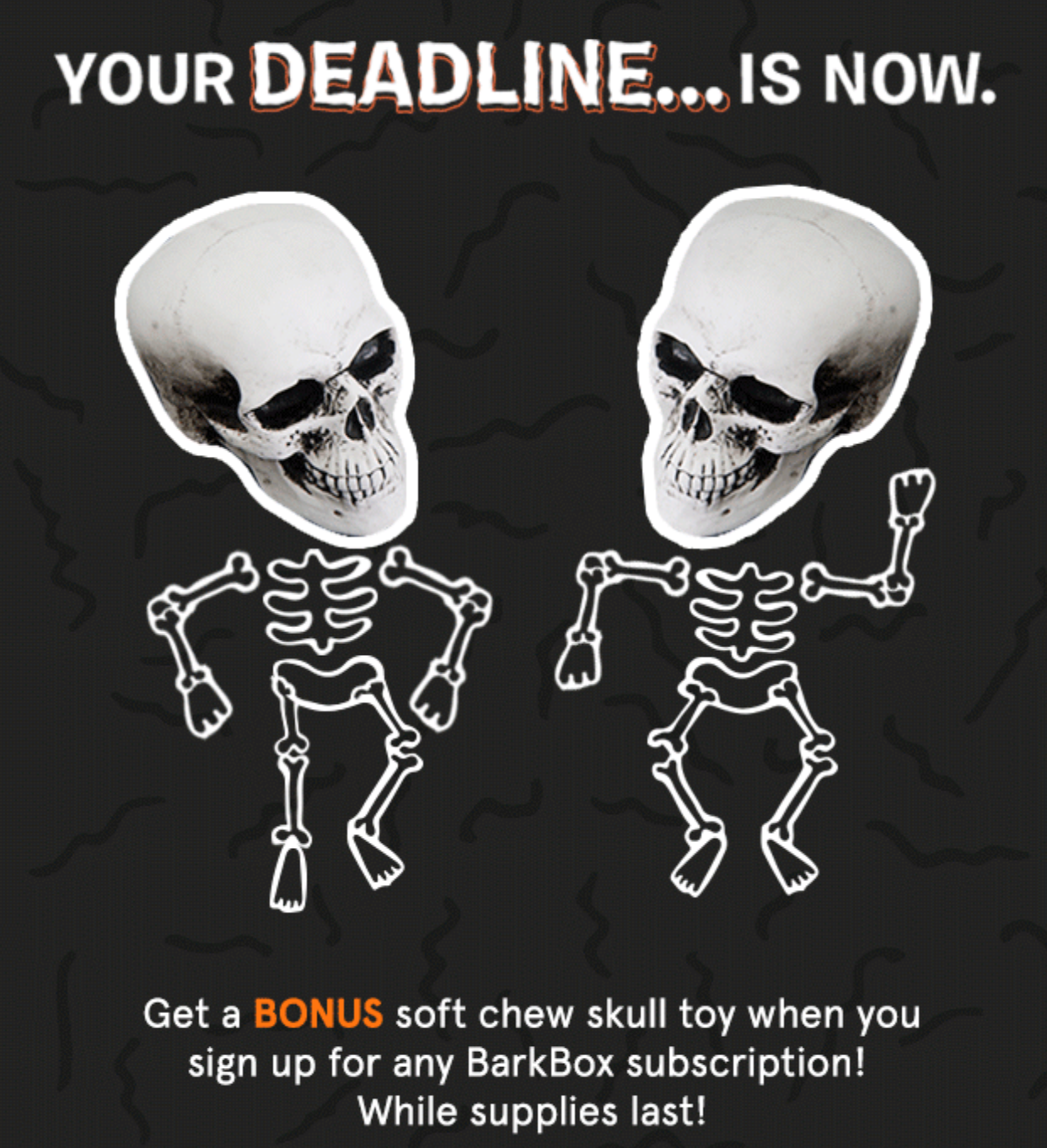 Last Day – Free Skull Toy or Bonus Box with Barkbox Subscription!