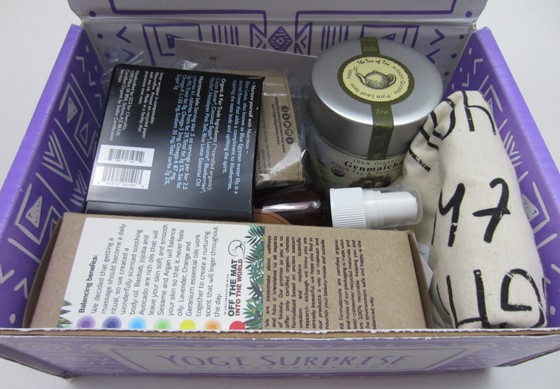 Yogi Surprise Anniversary Bonus Box Review October 2015 - inside