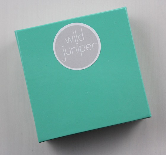 aster-market-october-2015-wild-juniper