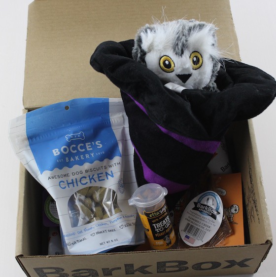 barkbox-oct-2015-items