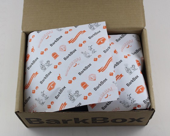 barkbox-oct-2015-open