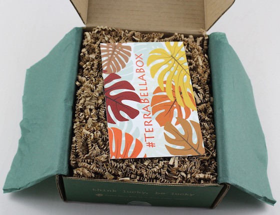 terra-bella-box-oct-2015-first-look