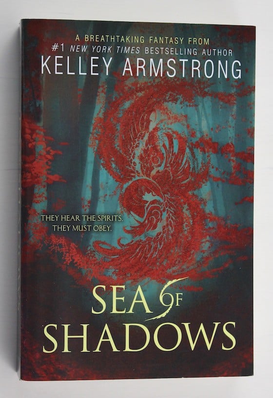 the-book-drop-ya-oct-2015-sea-of-shadows