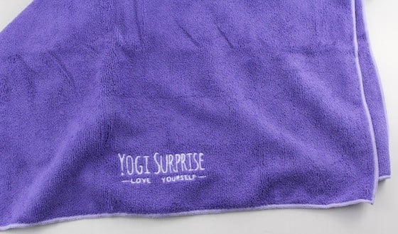 yogi-surprise-oct-2015-towel-2