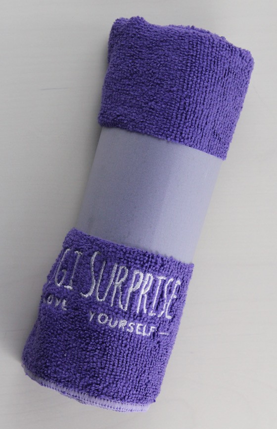 yogi-surprise-oct-2015-towel