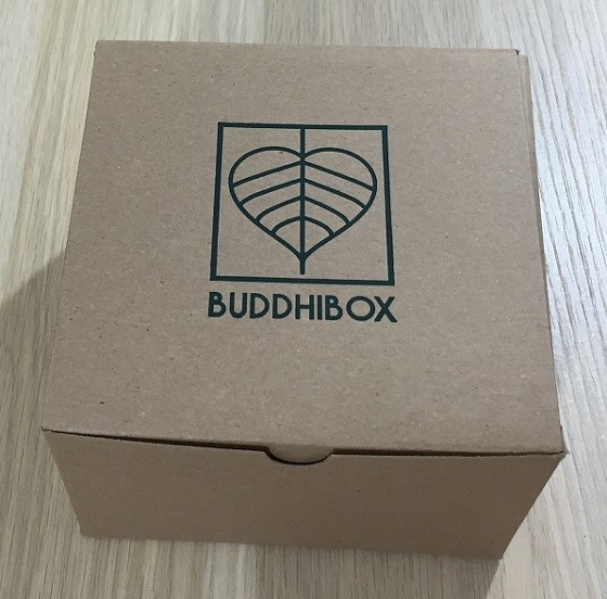 BuddhiBox Subscription Box Review November 2015 - box