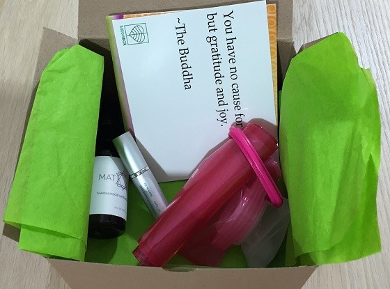 BuddhiBox Subscription Box Review November 2015 - inside