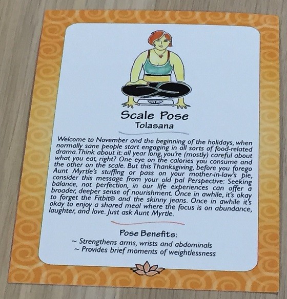 BuddhiBox Subscription Box Review November 2015 - pose