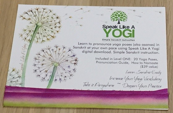 BuddhiBox Subscription Box Review November 2015 - sanskrit