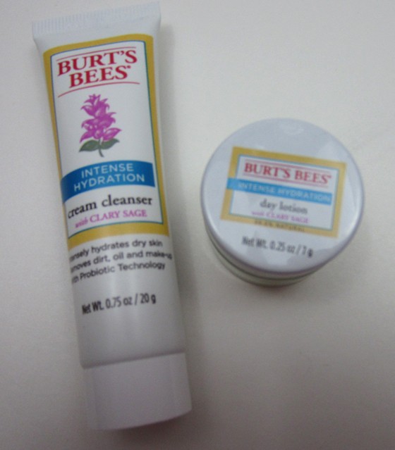 Burt's Bees 2015 Holiday Grab Bag Review - cleanser