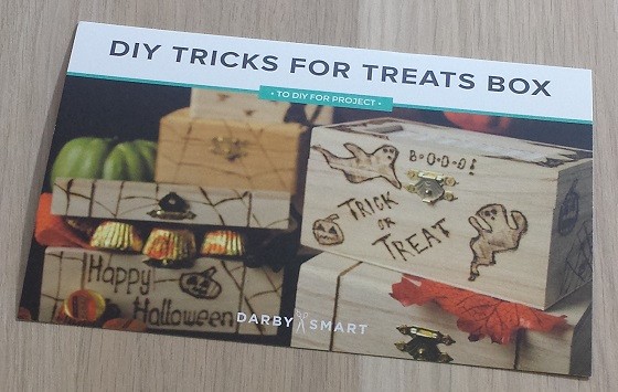 Darby Smart To DIY For Subscription Box Review October 2015 - project