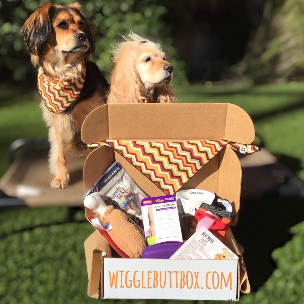 Wigglebutt Box Cyber Monday Deal – 25% any length subscription!