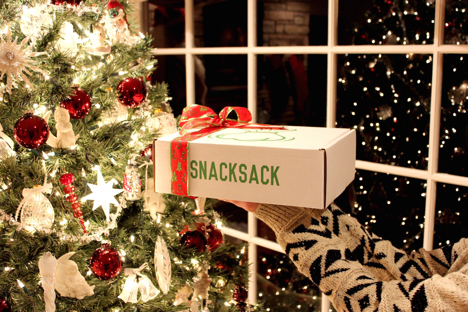 SnackSack Black Friday Deal – 27% off your entire order!