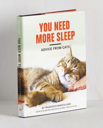 You Need More Advice From Cats