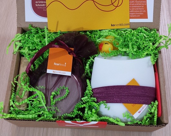 Konenkii Subscription Box Review October 2015 - inside