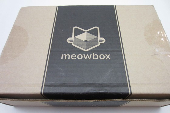 Meowbox Subscription Box Review October 2015 - box