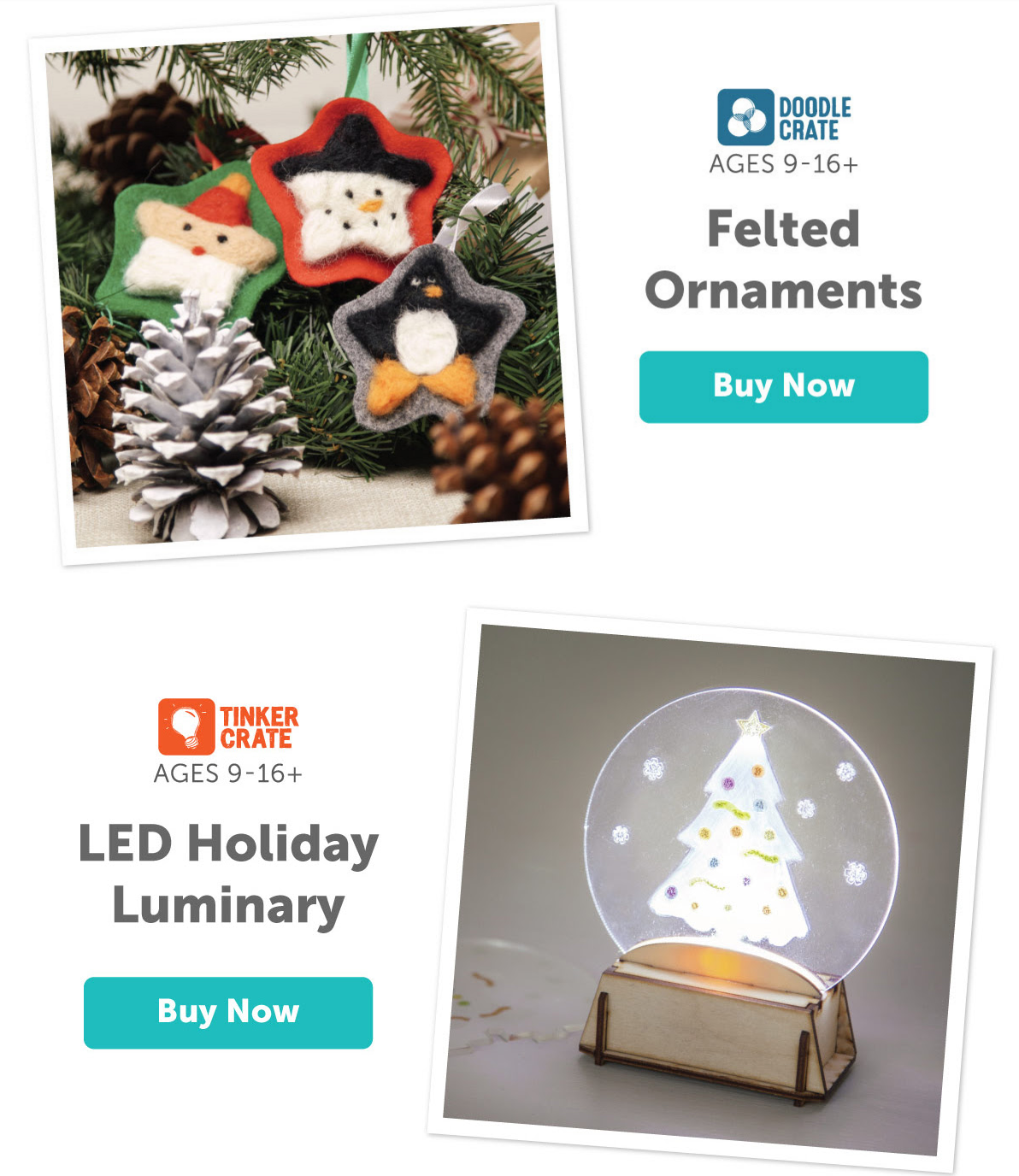 Free Shipping On Kiwi Crate Holiday Crates + Free Box Offer!