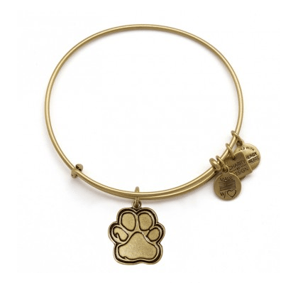 Alex and Ani Prints Of Love Charm Bangle