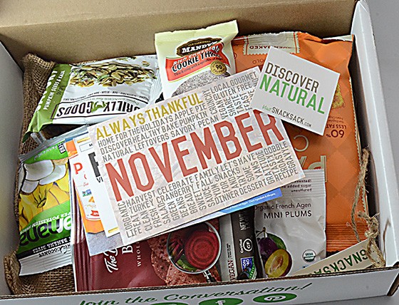 Snack Sack Subscription Box Review November 2015 - 2