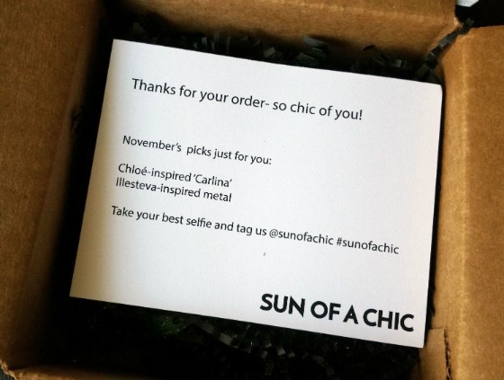 Sun Of A Chic Subscription Box Review + Coupon November 2015 - info