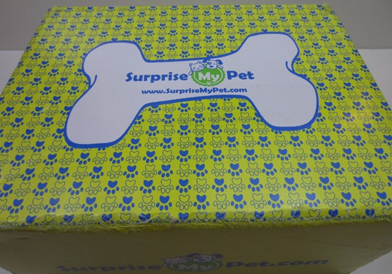 Surprise My Pet Subscription Box Review – October 2015