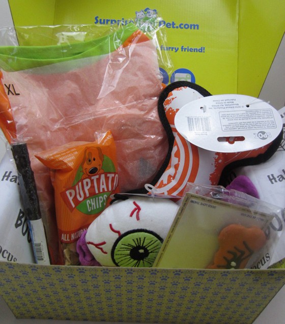 Surprise My Pet Subscription Box Review October 2015 - items