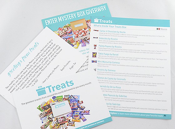 Treats Subscription Box Review November 2015 - 2