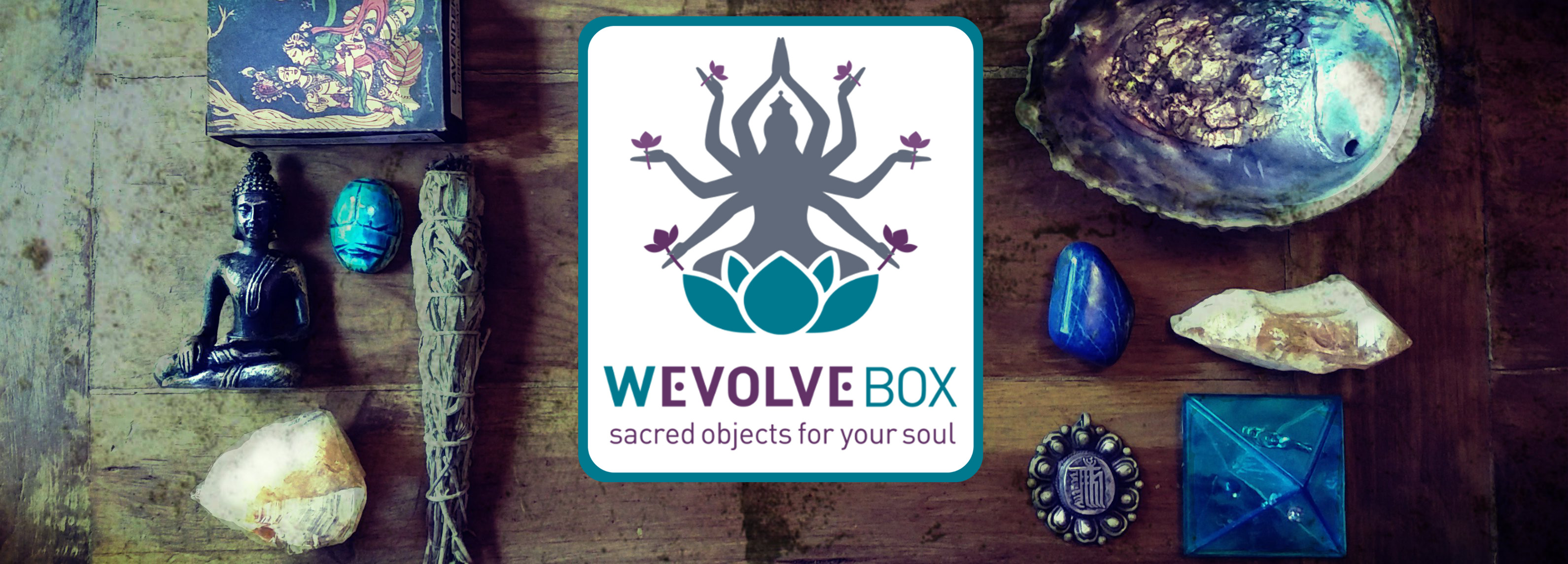 WEvolve Box Black Friday Deal – $15 off your first box!