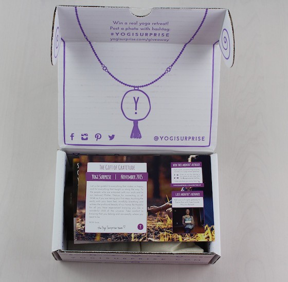 yogi-surprise-jewelry-nov-2015-